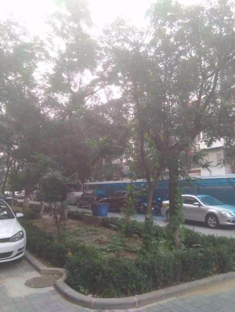 北京葡萄酒厂宿舍楼二手房房源图片