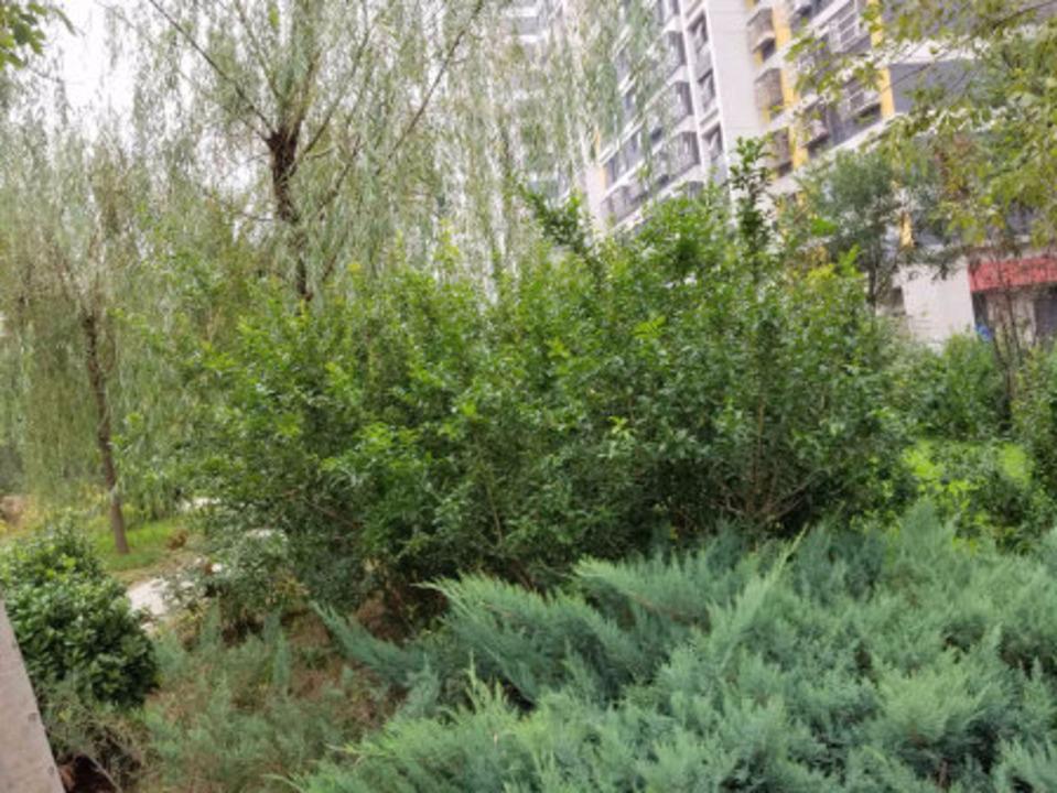 北京广安康馨家园(南区)二手房房源图片