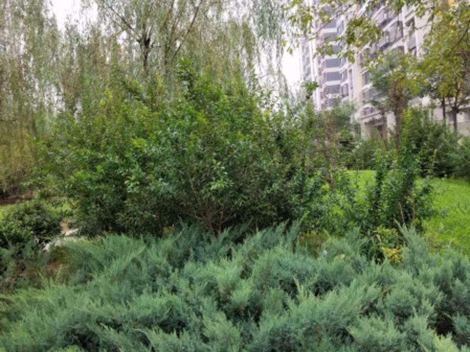 北京广安康馨家园(南区)二手房房源图片