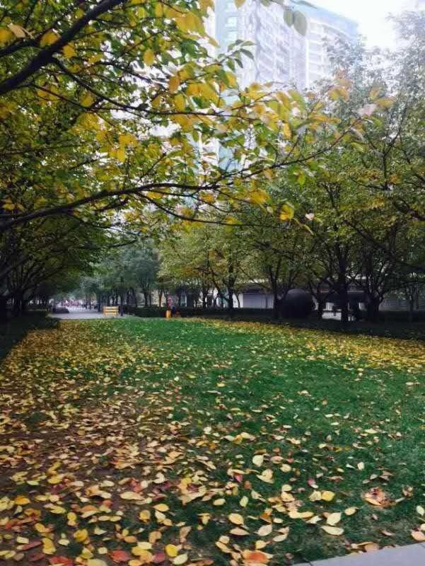 北京新城国际二手房房源图片