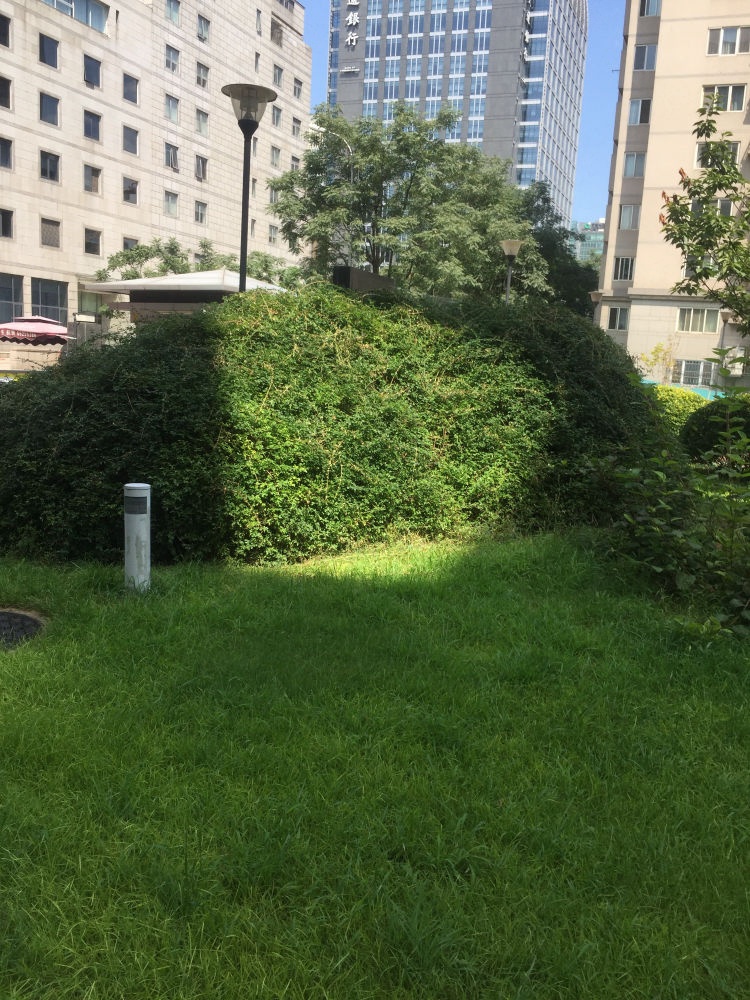 北京金宸国际公寓二手房房源图片