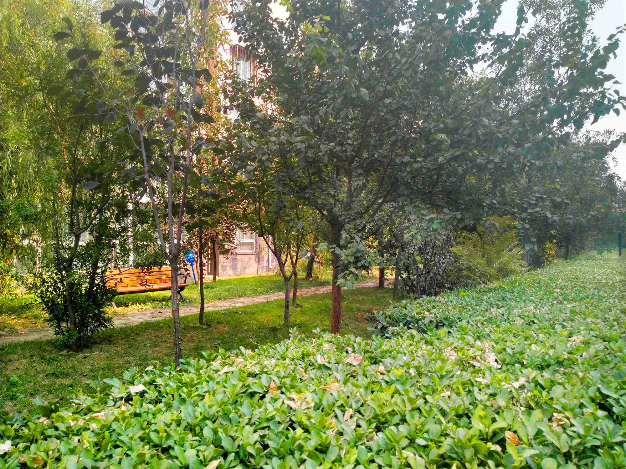 北京燕归宁馨园二手房房源图片