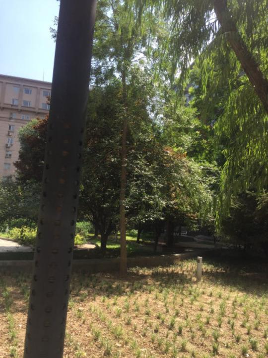 北京金宸国际公寓二手房房源图片