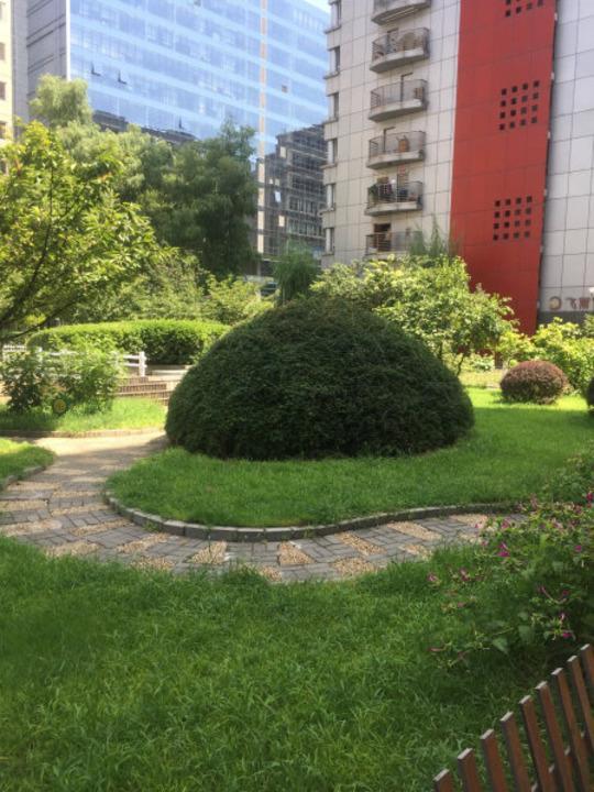 北京金宸国际公寓二手房房源图片