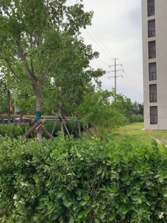 北京安外西河沿路1号院二手房房源图片