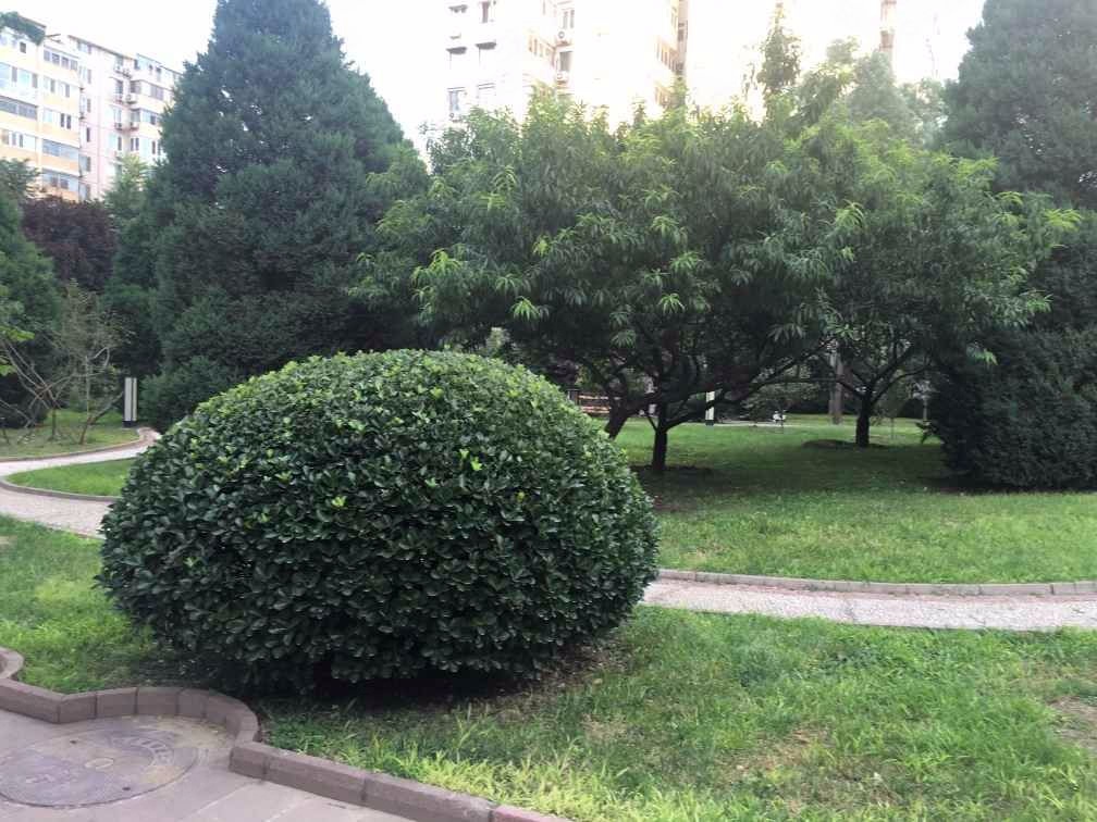 北京蓝珏苑二手房房源图片