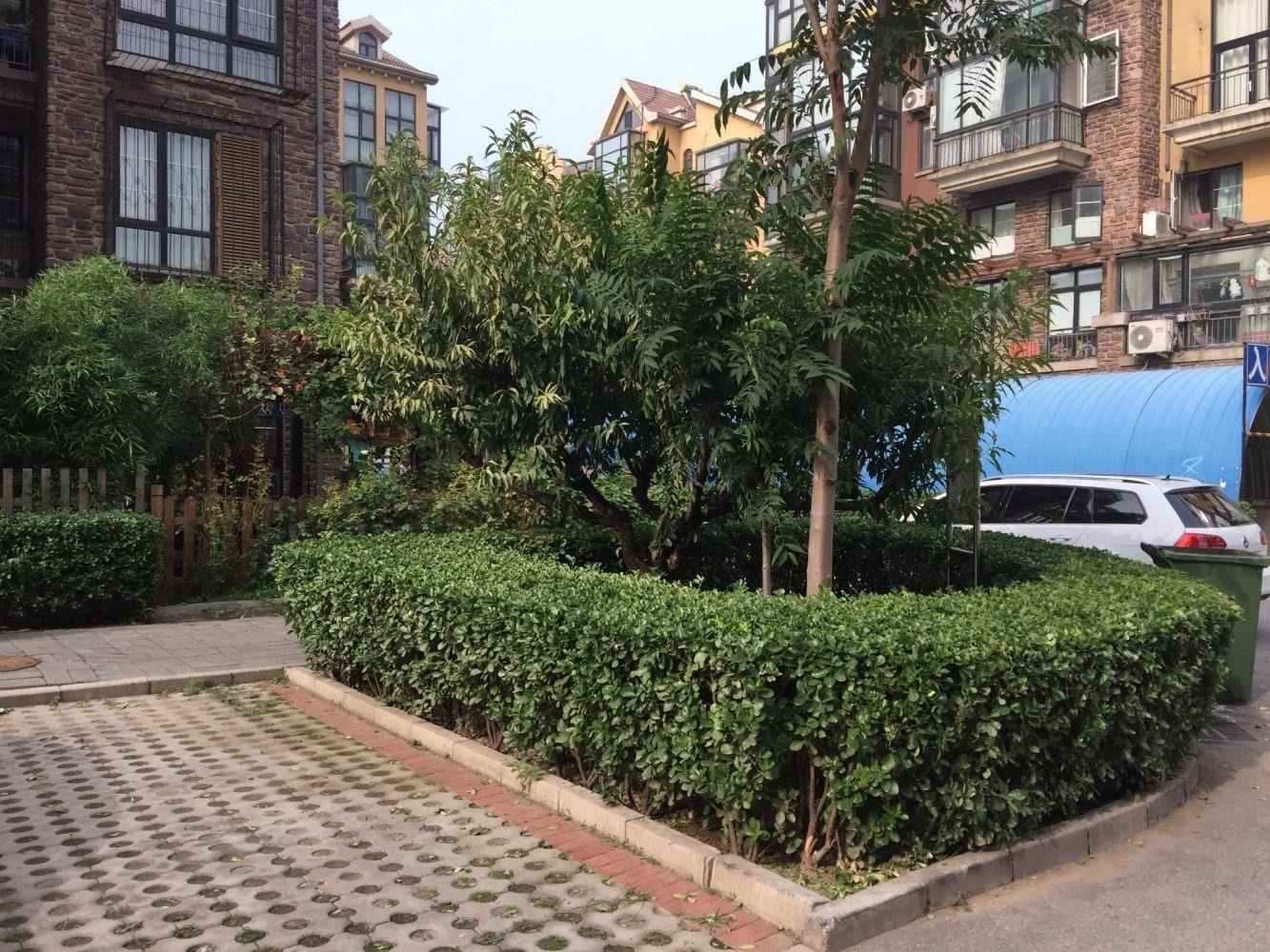 北京碧桐园二手房房源图片