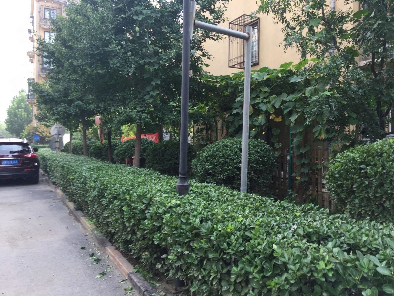 北京碧桐园二手房房源图片