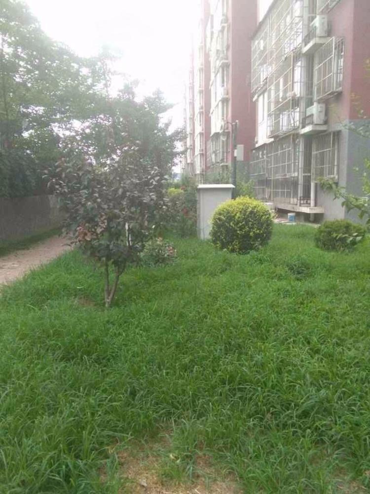 北京圣华里小区二手房房源图片