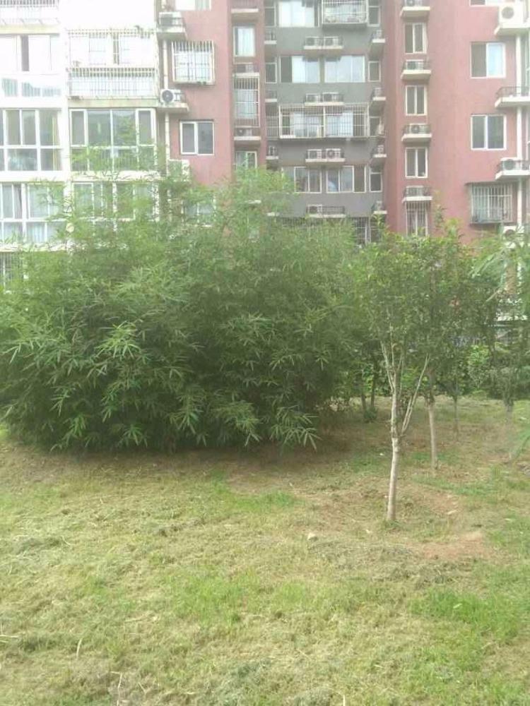 北京圣华里小区二手房房源图片