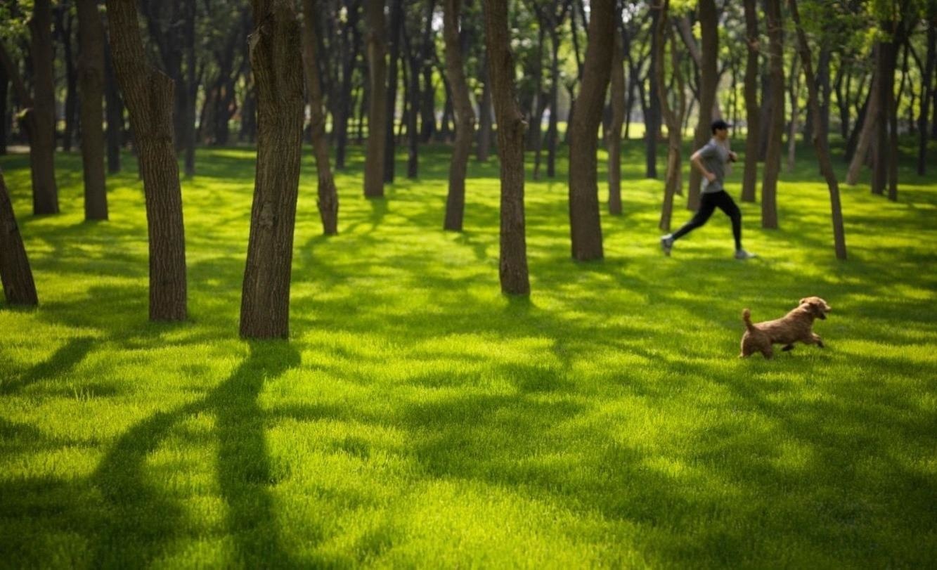 北京合生霄云路8号二手房房源图片