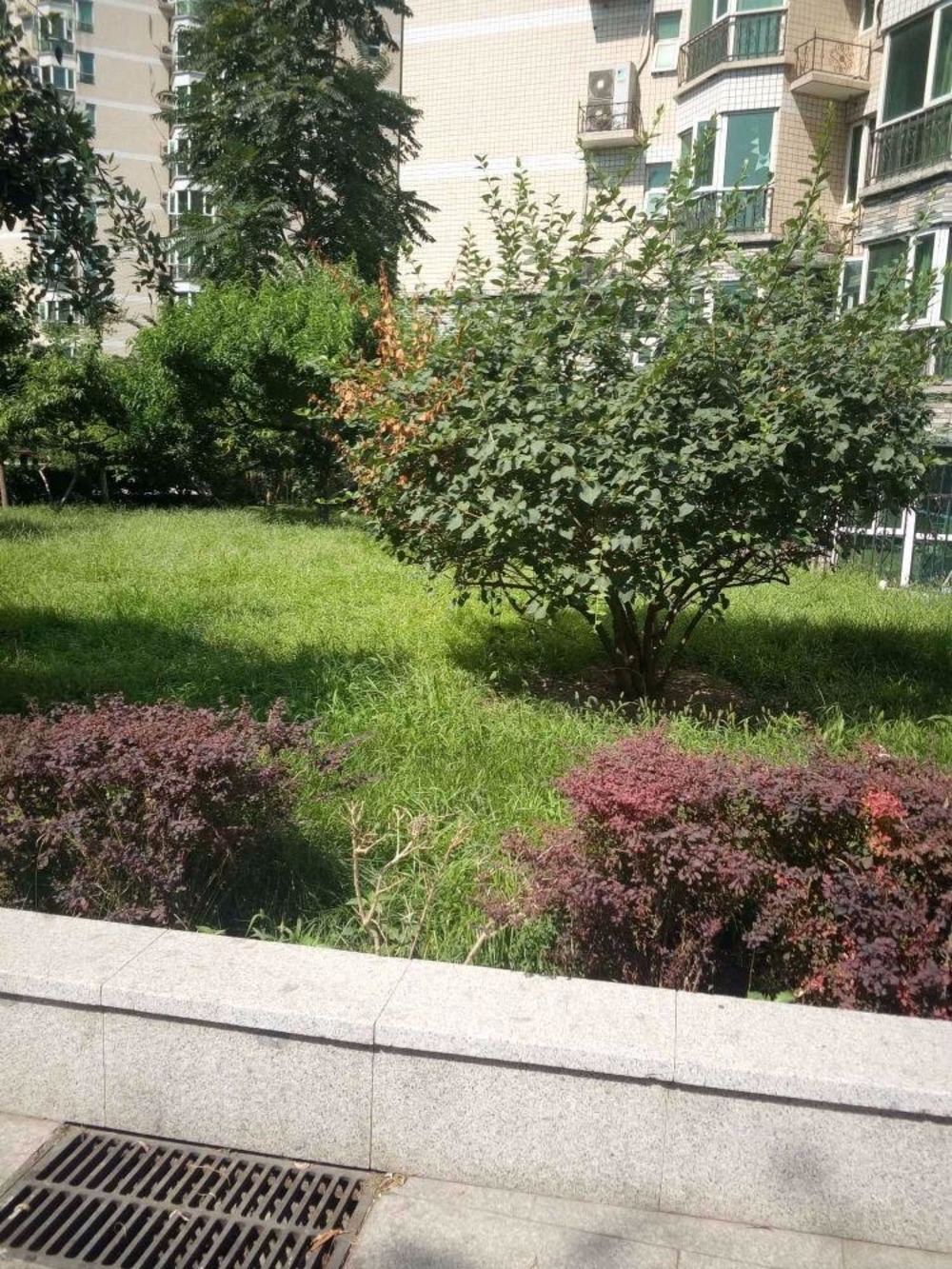 北京垂虹园(蓝靛厂)二手房房源图片