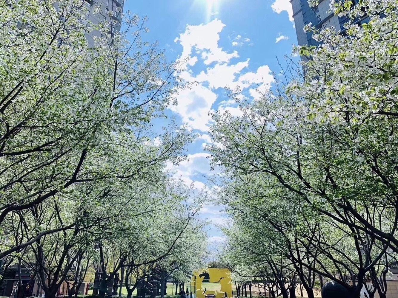 北京新城国际二手房房源图片