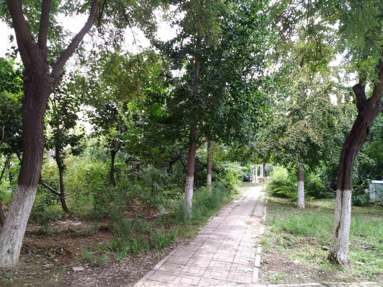 北京天通东苑三区二手房房源图片