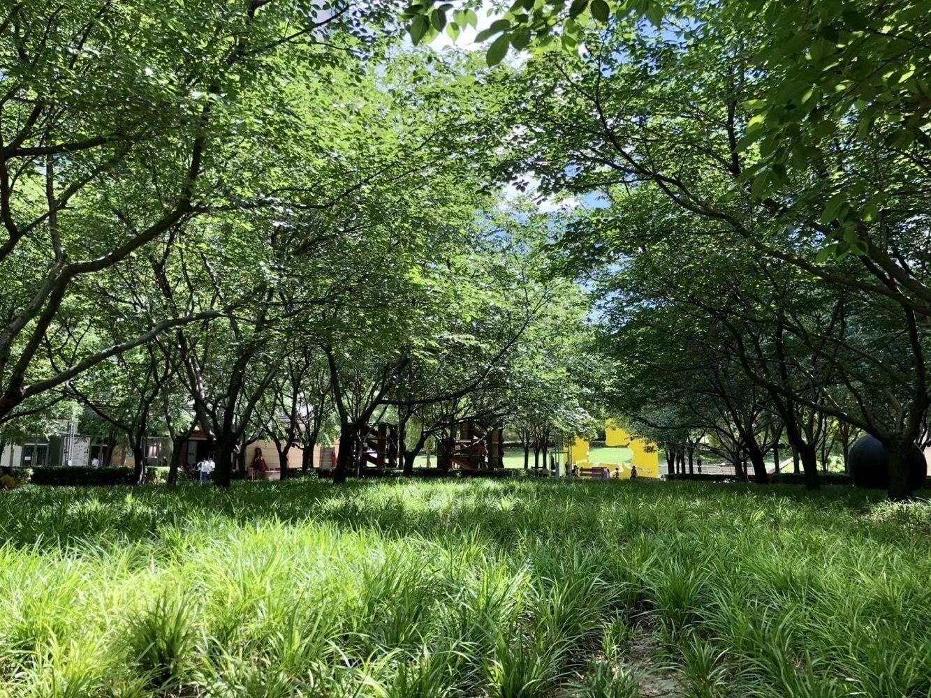 北京新城国际二手房房源图片