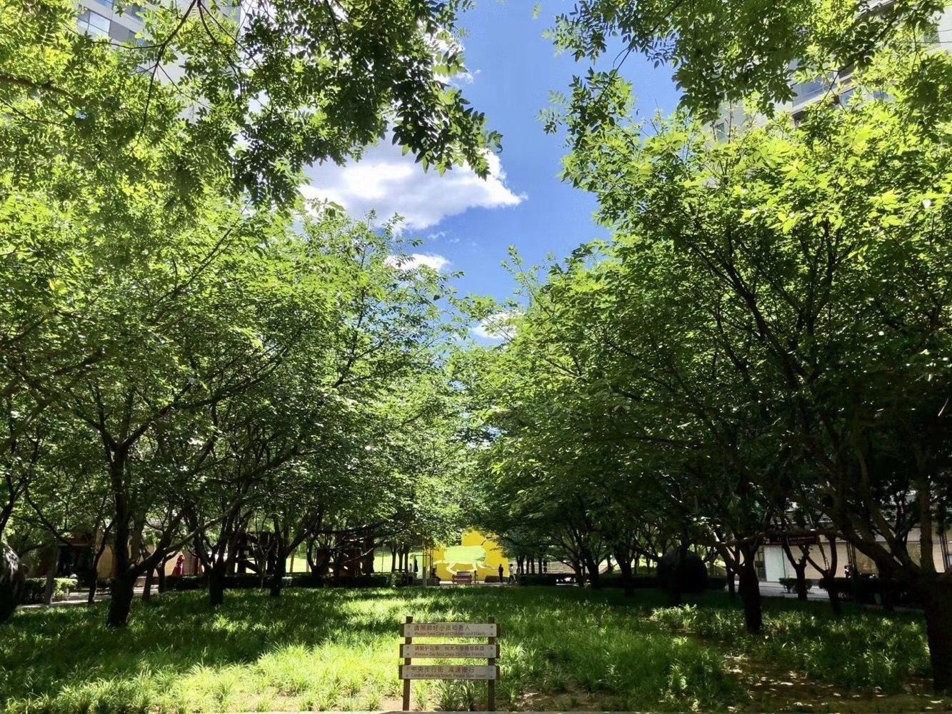 北京新城国际二手房房源图片