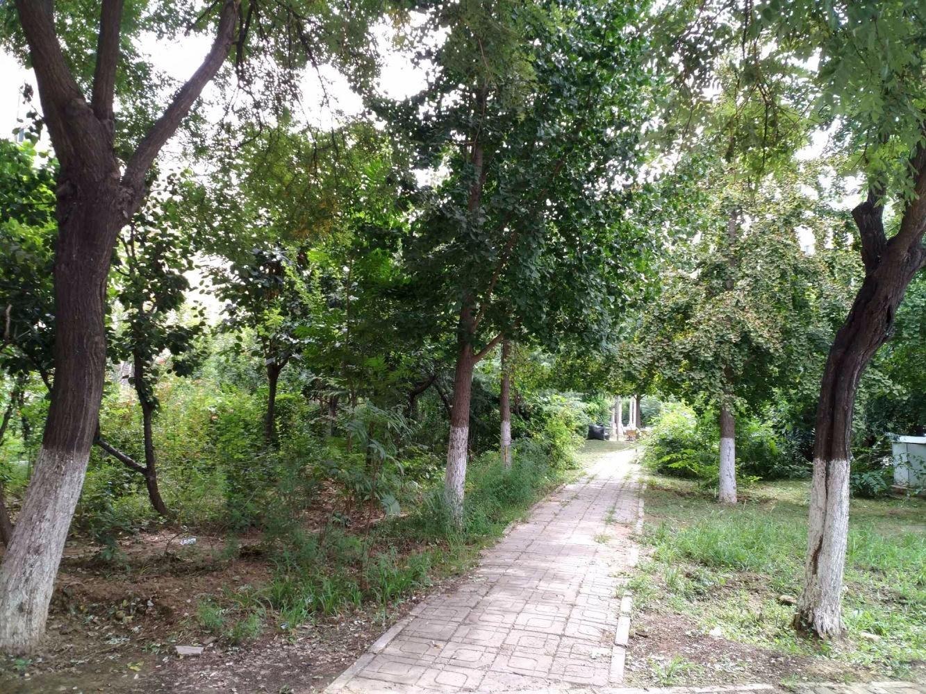 北京天通东苑一区二手房房源图片