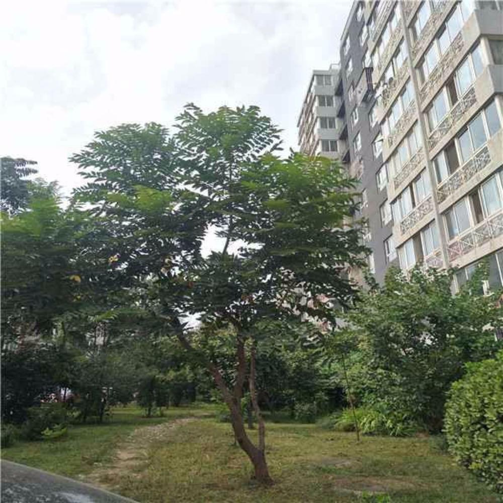 北京燕归宁馨园二手房房源图片