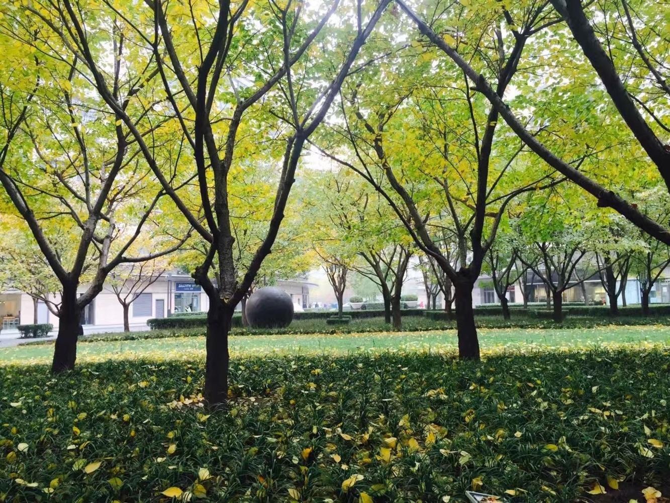北京新城国际公寓二手房房源图片