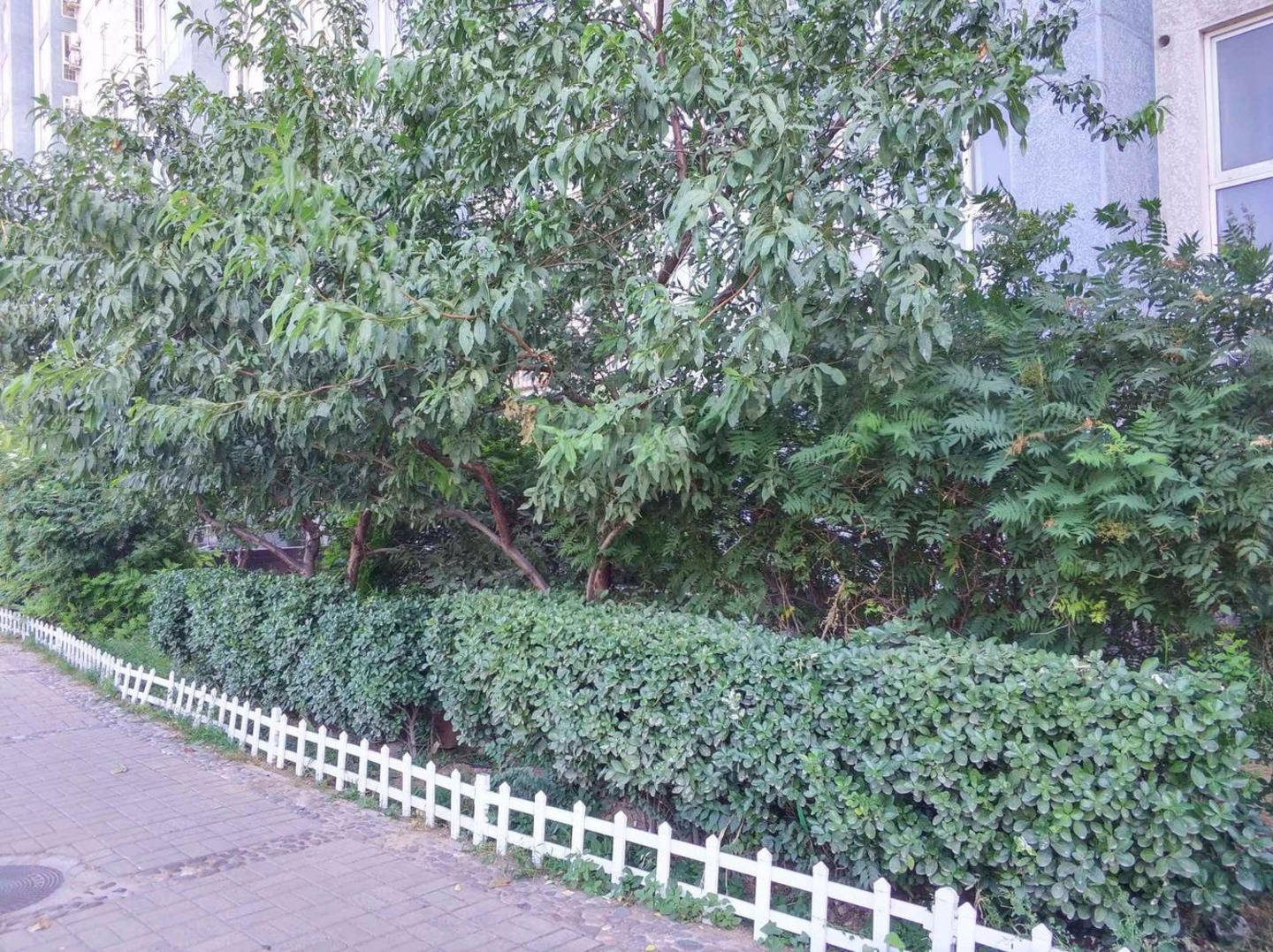 北京和光里二手房房源图片