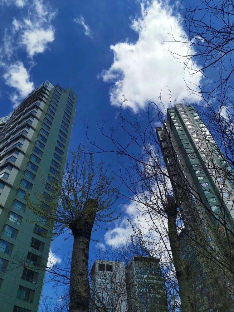 北京新城国际二手房房源图片