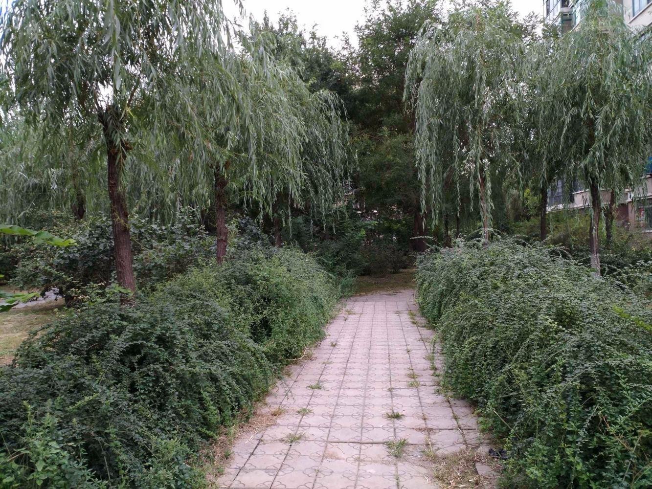 北京天通东苑二区二手房房源图片