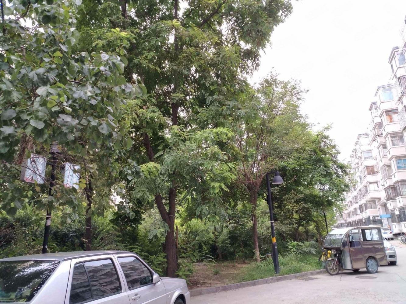 北京天通东苑二区二手房房源图片