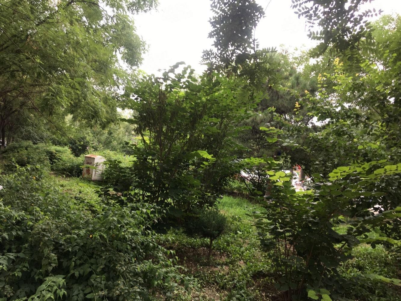 北京天通苑北三区二手房房源图片