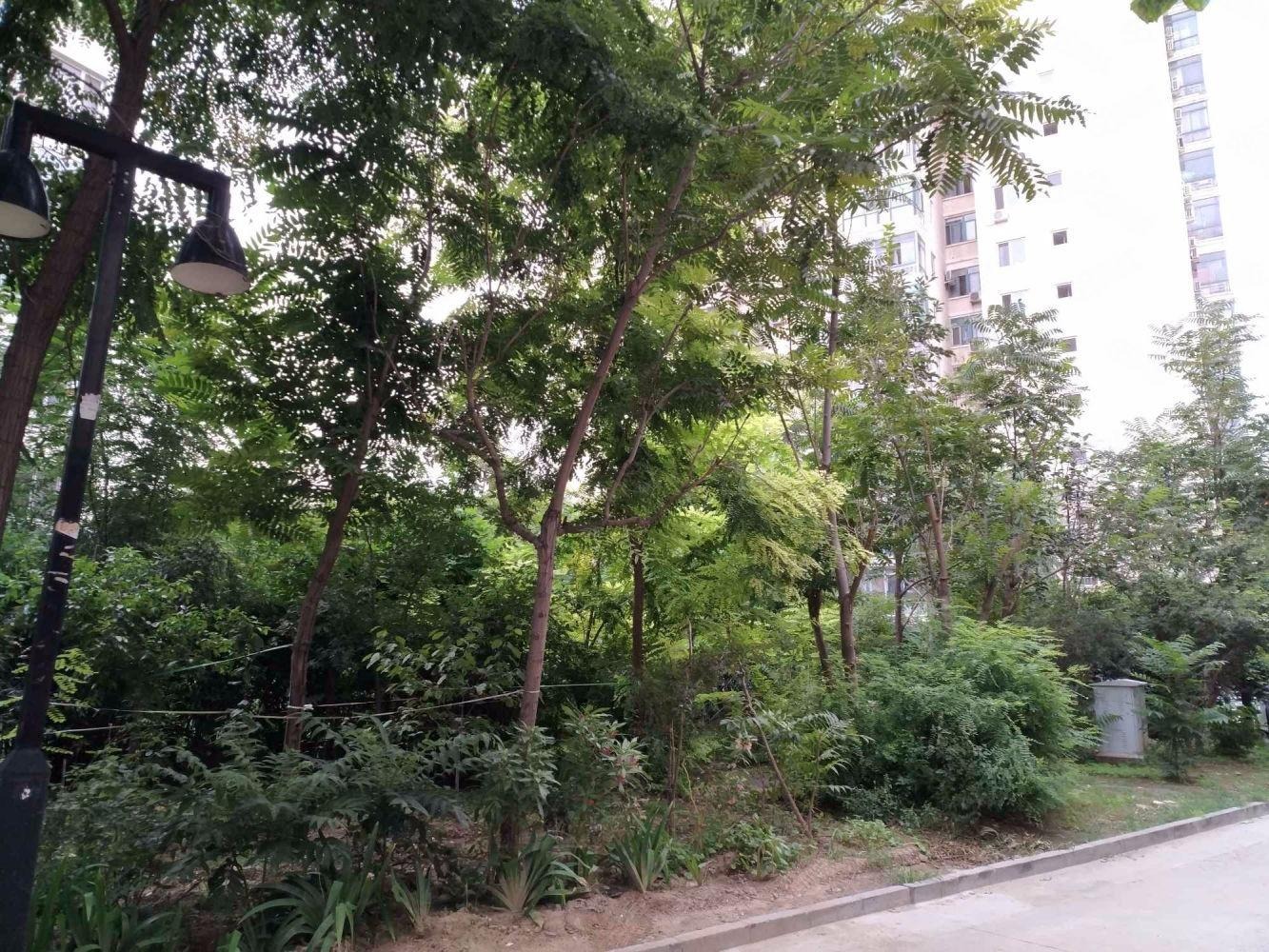 北京天通东苑一区二手房房源图片