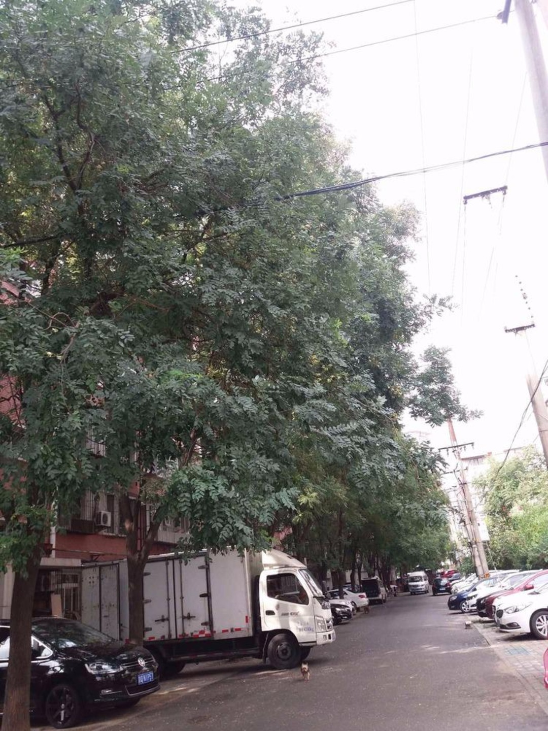 北京大井东里二手房房源图片