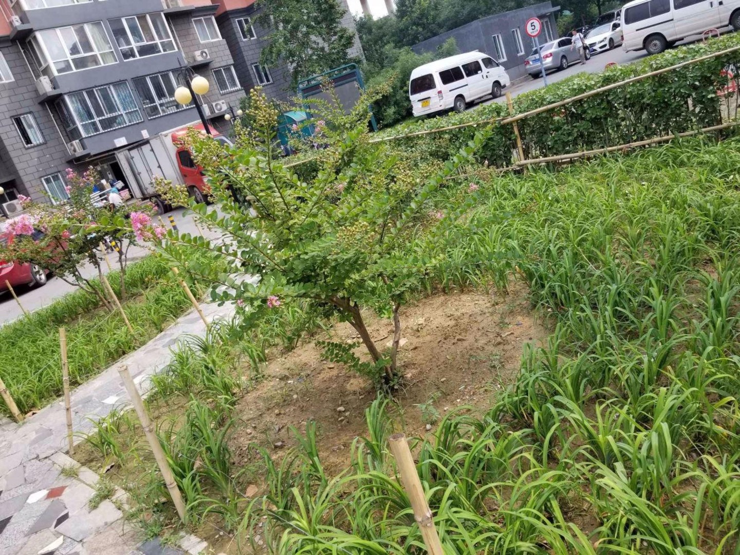 北京民岳家园(东区)二手房房源图片