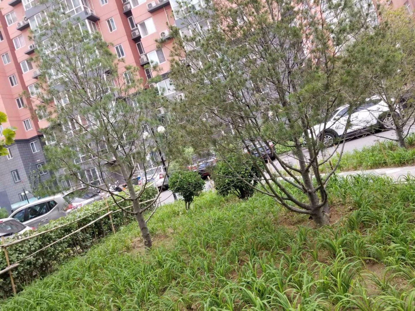 北京民岳家园(东区)二手房房源图片