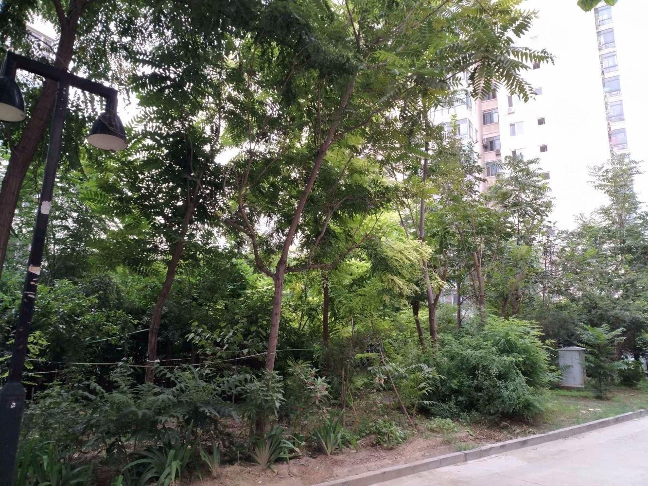 北京天通东苑一区二手房房源图片