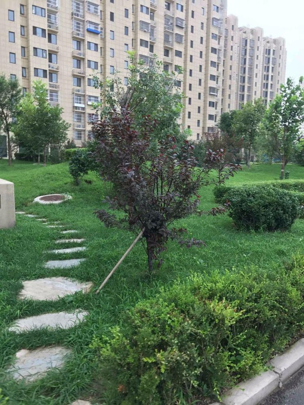 北京梦想家园(西区)二手房房源图片
