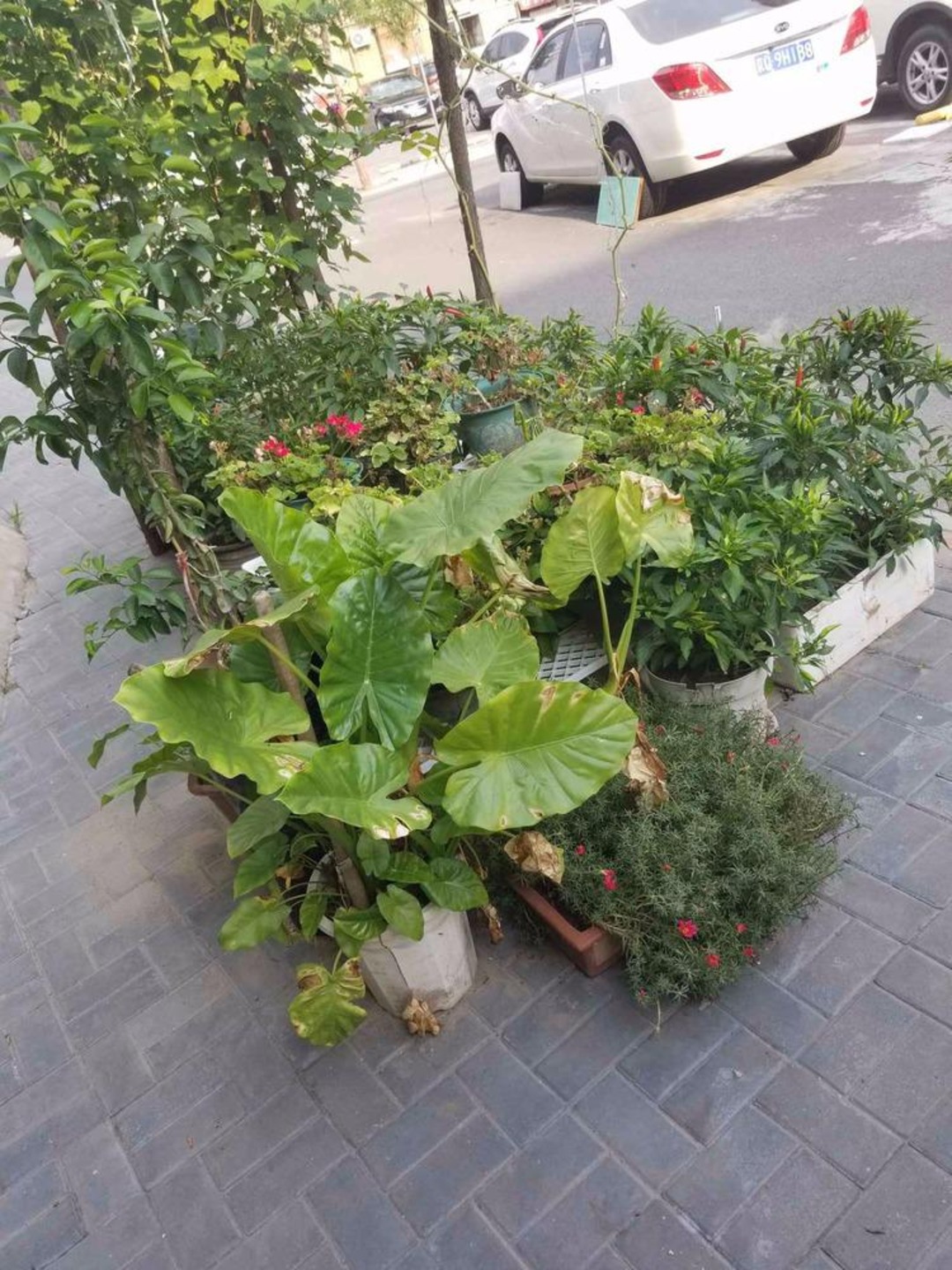 北京青塔芳园二手房房源图片