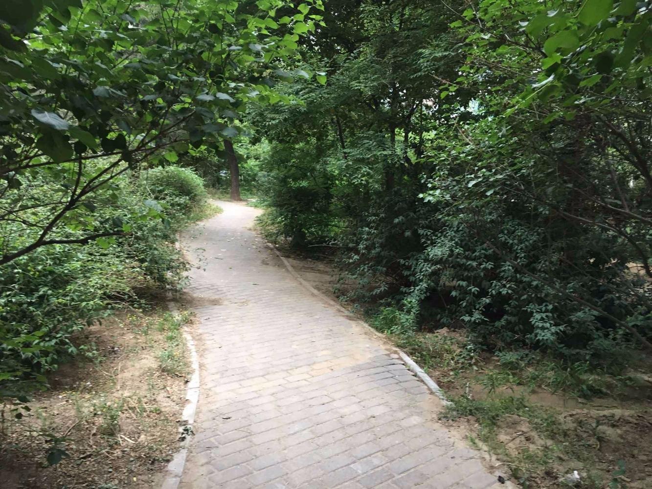 北京天通西苑三区二手房房源图片