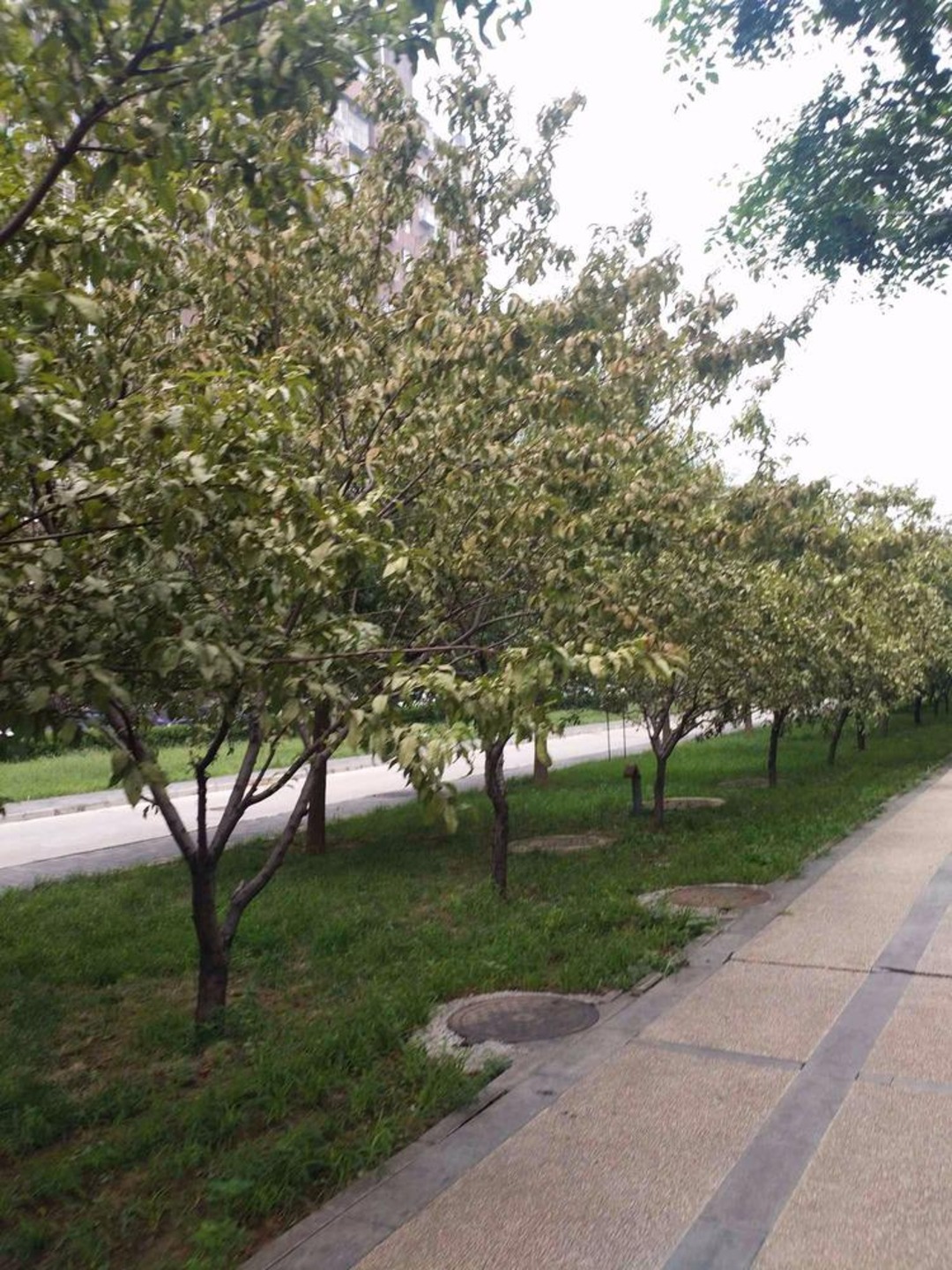 北京春风雅筑二手房房源图片