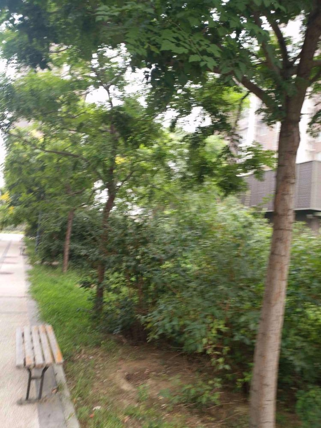 北京春风雅筑二手房房源图片