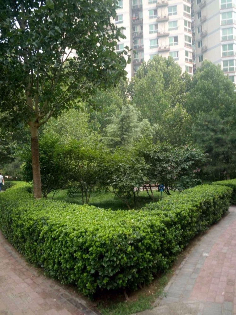 北京晨月园二手房房源图片