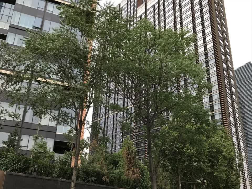 北京国锐金嵿二手房房源图片
