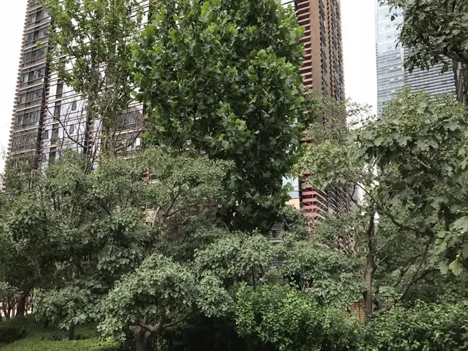 北京国锐金嵿二手房房源图片