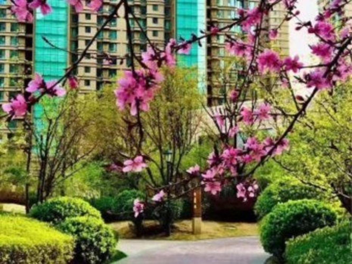 北京上上城理想新城(商住楼)二手房房源图片