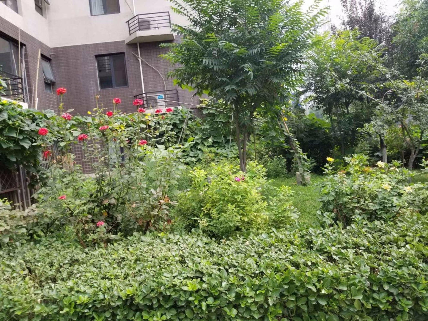 北京西府颐园悦和园二手房房源图片