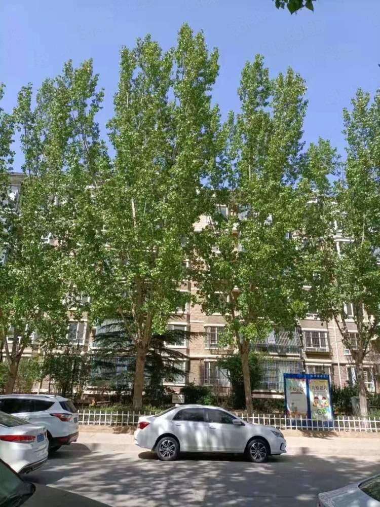 北京天通东苑二区二手房房源图片