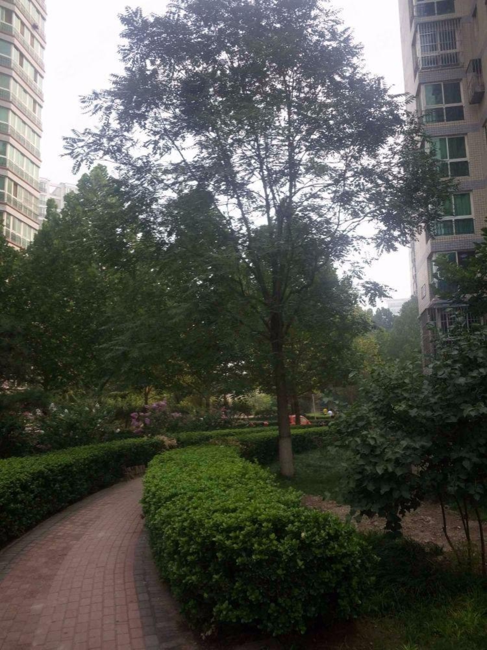 北京晨月园二手房房源图片