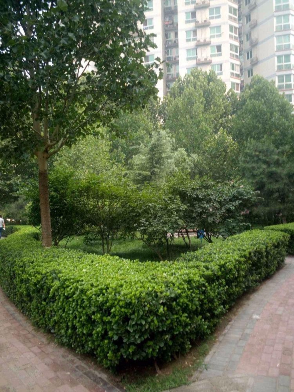 北京晨月园二手房房源图片