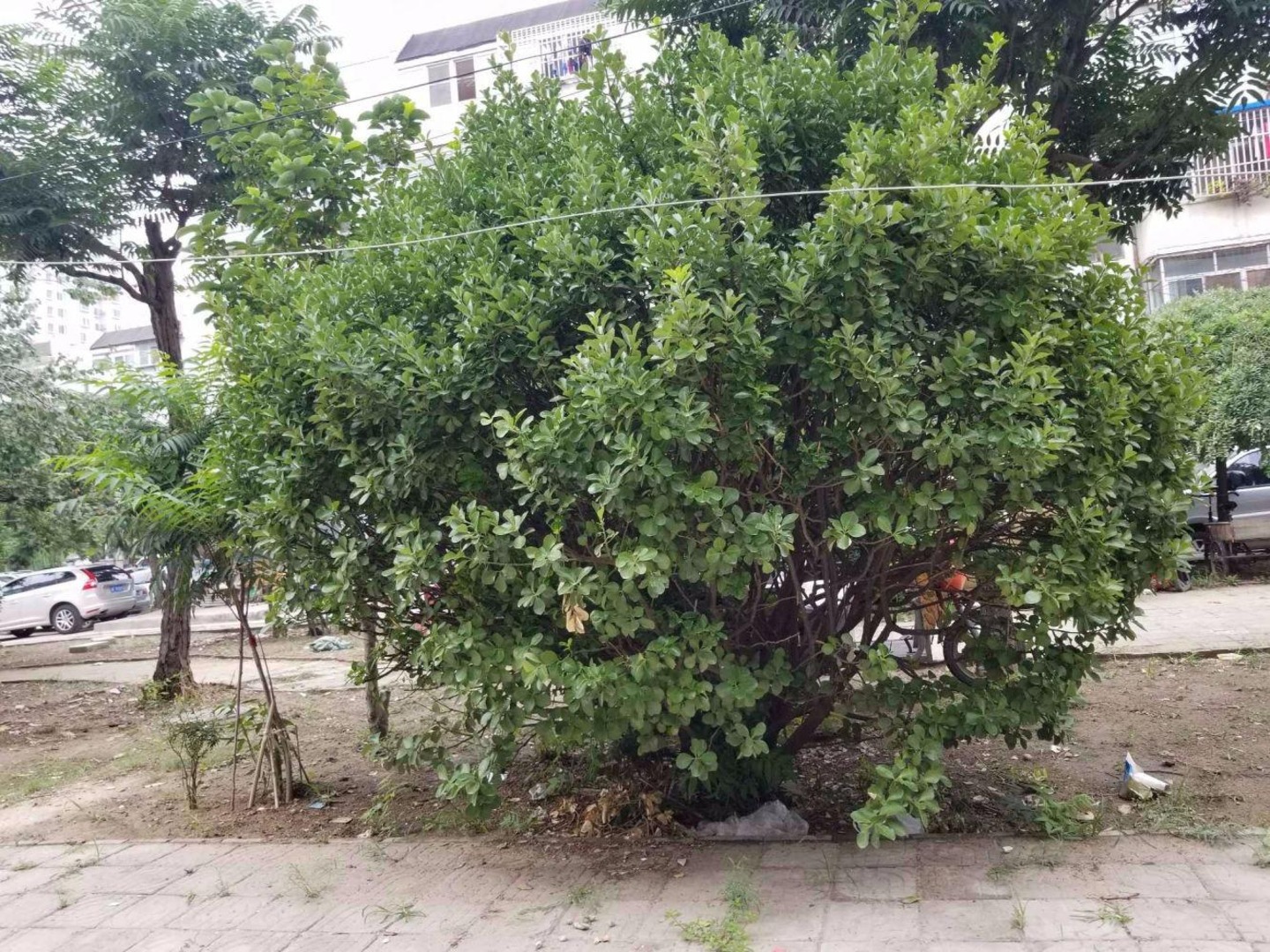 北京梅市口路11号院二手房房源图片
