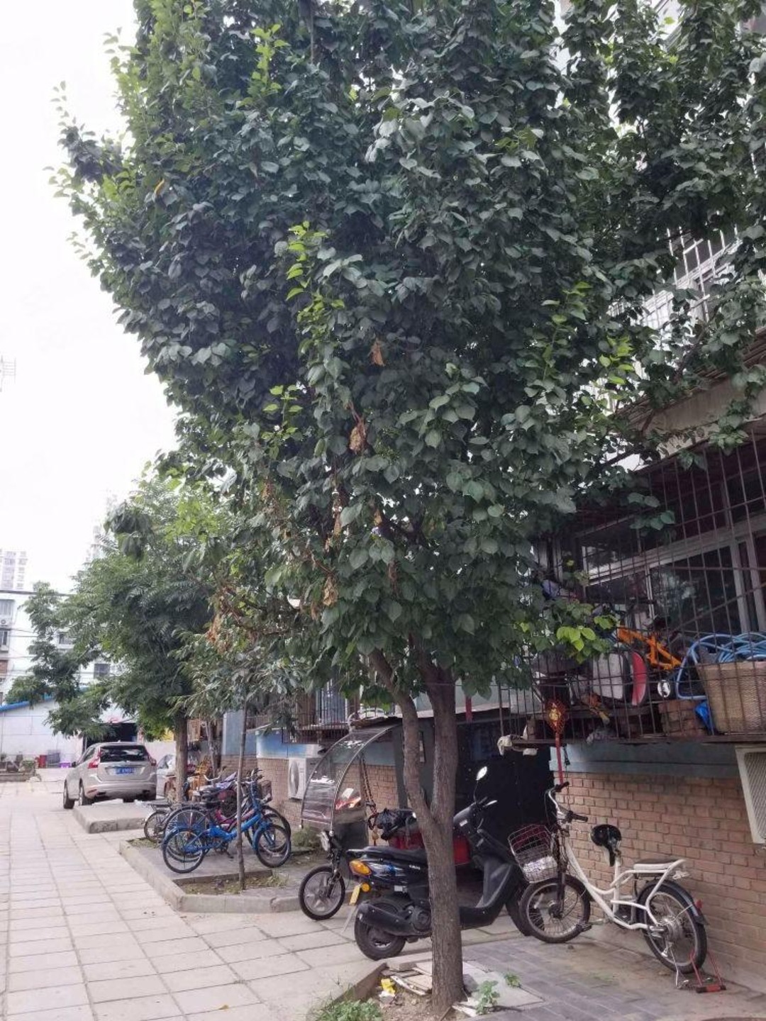 北京梅市口路11号院二手房房源图片