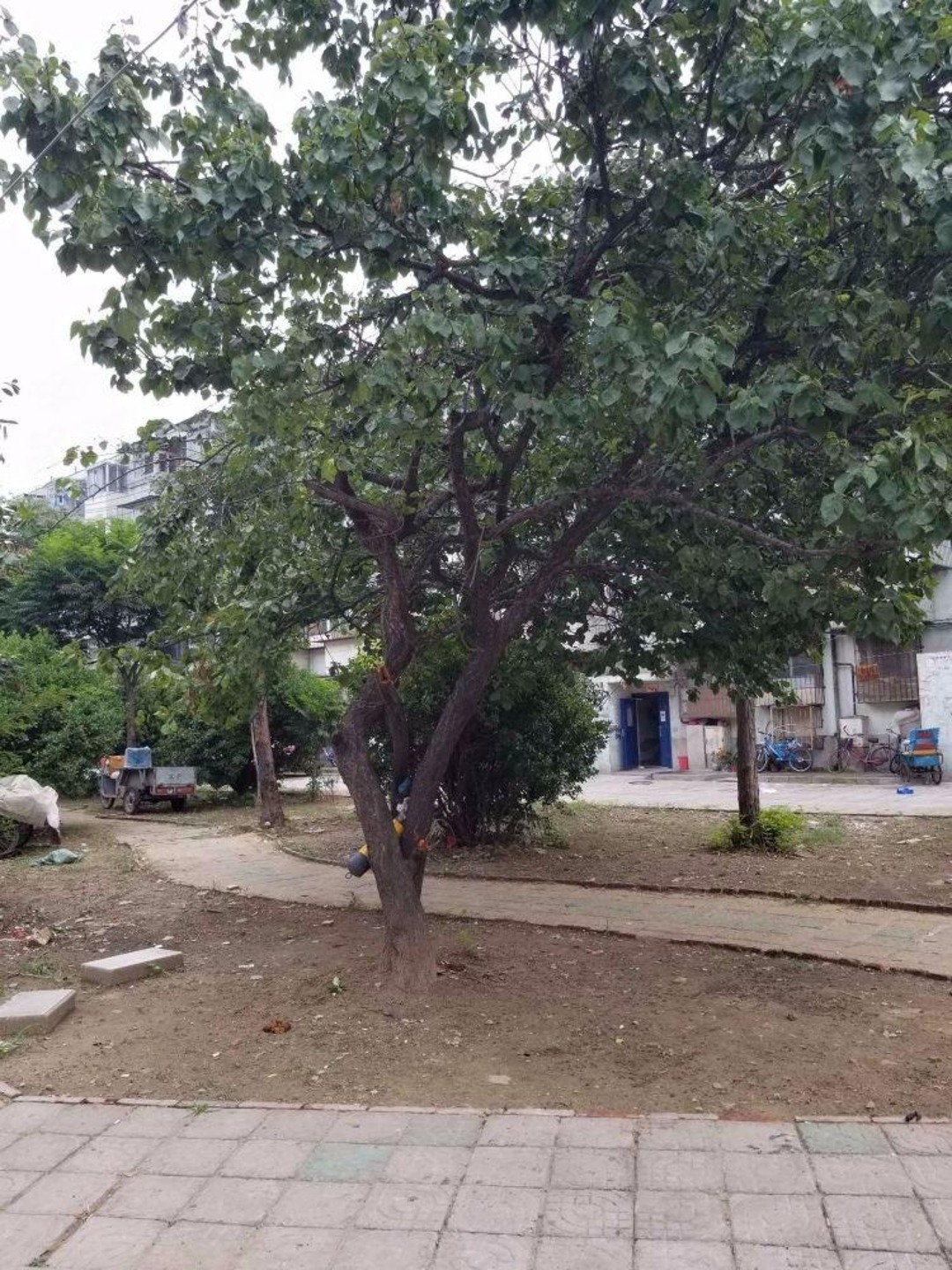 北京梅市口路11号院二手房房源图片