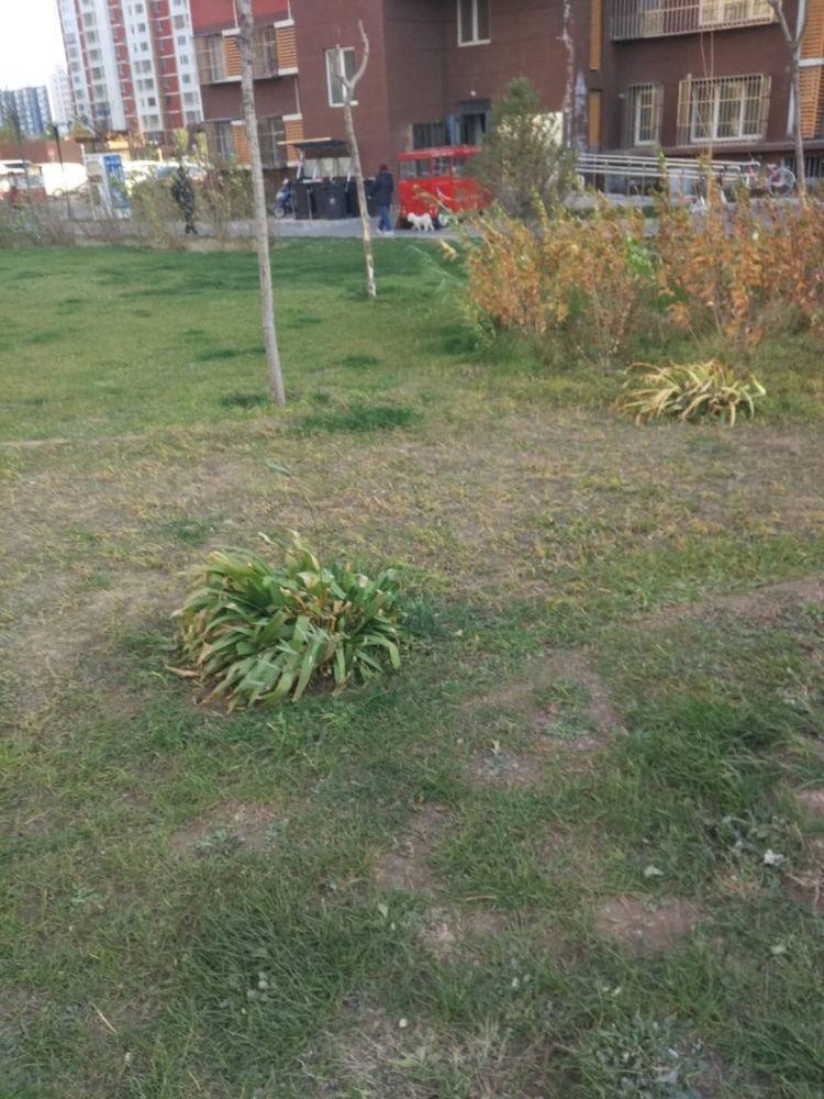 北京鸿博家园(一期A区)二手房房源图片